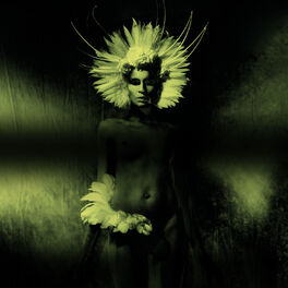 Album cover of Where Did the Night Fall: Another Night Out