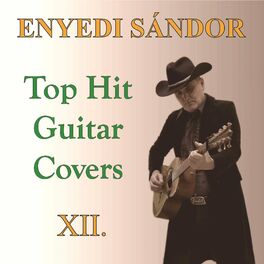 Album cover of Top Hit Guitar Covers XII