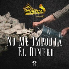 Album cover of No Me Importa el Dinero