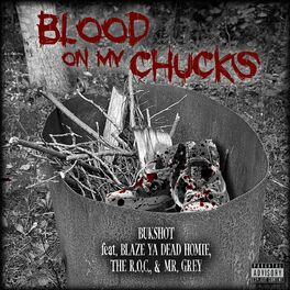 Album cover of Blood on My Chucks