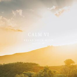 Album cover of Calm VI