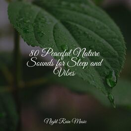 Album cover of 80 Peaceful Nature Sounds for Sleep and Vibes