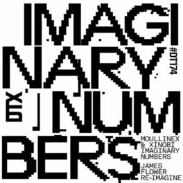 Album cover of Imaginary Numbers (James Flower Re-Imagine)