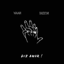 Album cover of Diz Amor