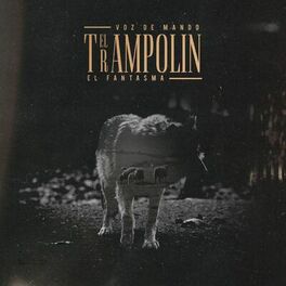 Album cover of El Trampolín