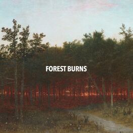 Album cover of Forest Burns