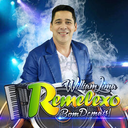 Album cover of Remelexo Bom Demais