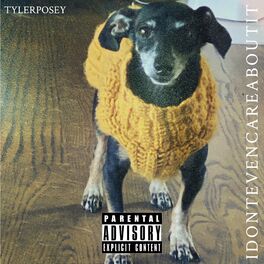 Album cover of I Don't Even Care About It