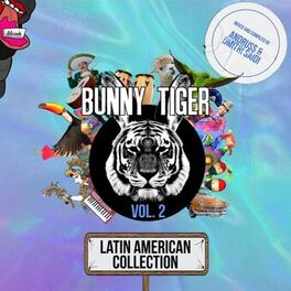Album cover of Latin American Collection Vol. 2