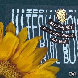 Album cover of Material Boy (Teenage Priest Remix)