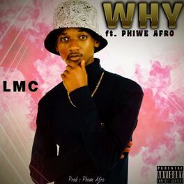 Album cover of Why (feat. Phiwe Afro)
