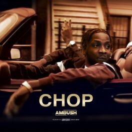 Album cover of Chop