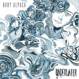 Baby Alpaca Roller Coaster lyrics and songs Deezer