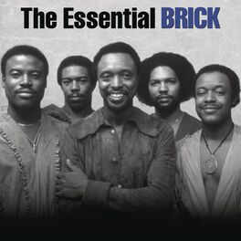 Album cover of The Essential Brick