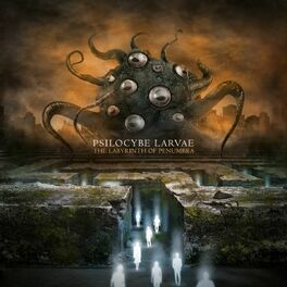 Album cover of The Labyrinth of Penumbra