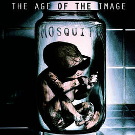 Album cover of The Age of the Image