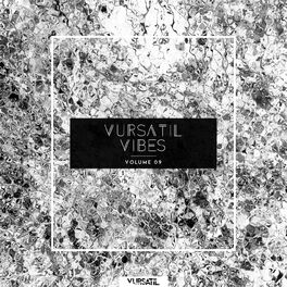 Album cover of Vursatil Vibes 09