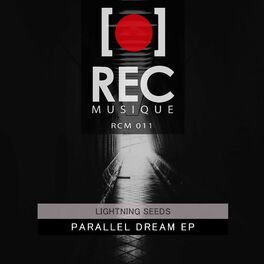 Album cover of Parallel Dream