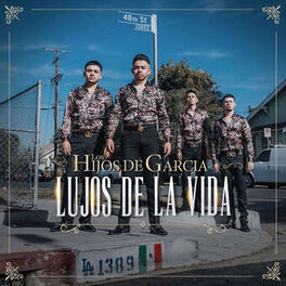 Album cover of Lujos De La Vida