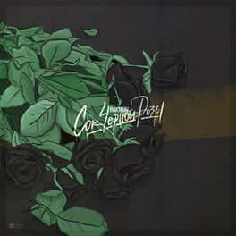 Album cover of Сок чёрной розы