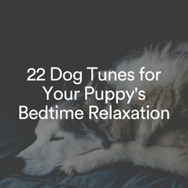 Album cover of 22 Dog Tunes for Your Puppy's Bedtime Relaxation