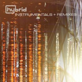 Album cover of Instrumentals and Remixes