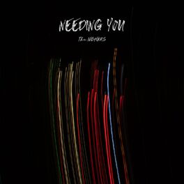Album cover of Needing You
