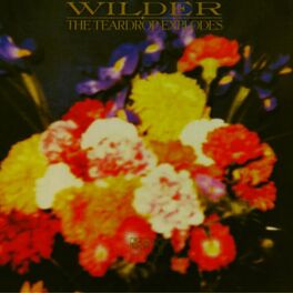 Album cover of Wilder