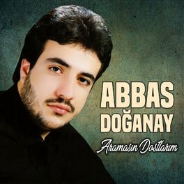 Album cover of Aramasın Dostlarım