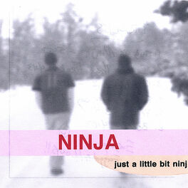 Album cover of Just A Little Bit Ninj