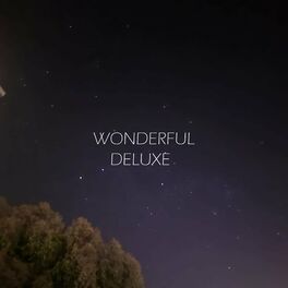 Album cover of Wonderful (Deluxe)