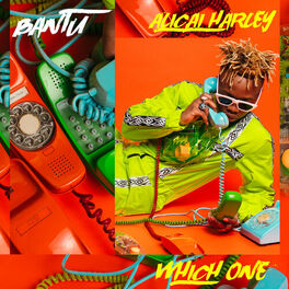 Album cover of Which One
