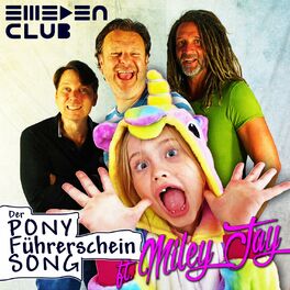 Album cover of Pony-Führerschein Song