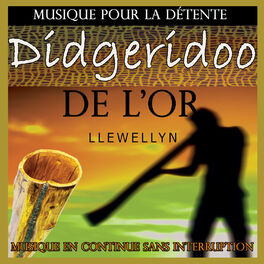 Album cover of Didgeridoo de l'or: musique pour la détente: musique en continue sans interruption