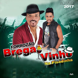 Album cover of Forrozão Brega E Vinho - Na Pisadinha Ao Vivo 2017