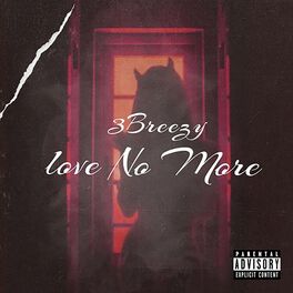 Album cover of Love No More