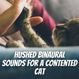 Album cover of Hushed Binaural Sounds for a Contented Cat