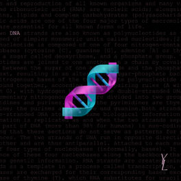 Album cover of DNA (feat. Jns)