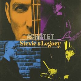 Album cover of Stevie's Legacy