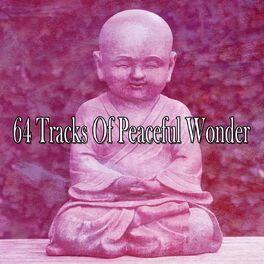 Album cover of 64 Tracks Of Peaceful Wonder