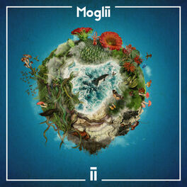 Album cover of ii