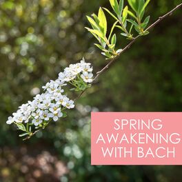Album cover of Spring Awakening with Bach
