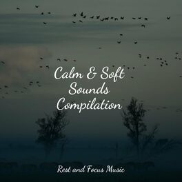 Album cover of Calm & Soft Sounds Compilation