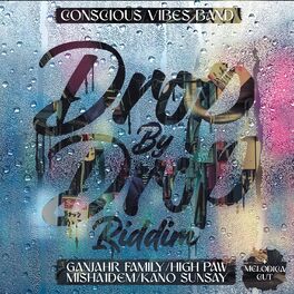 Album cover of Drop By Drop Riddim