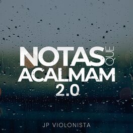 Album cover of Notas Que Acalmam - Volume 2