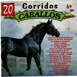 Album cover of 20 Corridos de Caballos