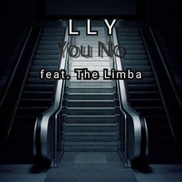 Album cover of You No