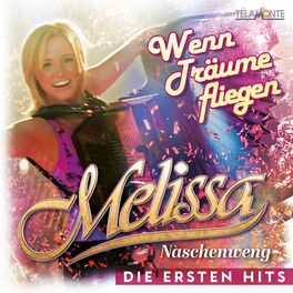 Album cover of Wenn Träume fliegen: Die ersten Hits