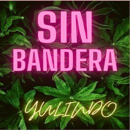 Album cover of Sin Bandera