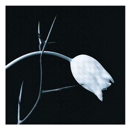 Album cover of El Tango